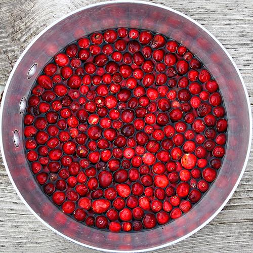 Cranberries Soaking (Used with permission.)