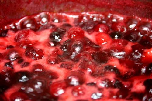 Cranberries "Boyling" (Used with permission.)