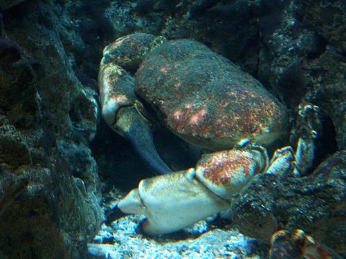 At Home (Used with permission.)