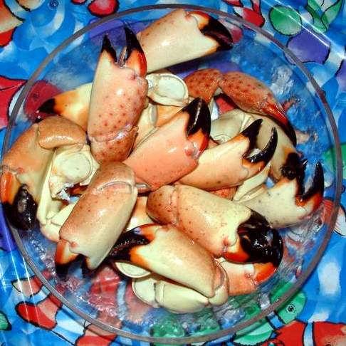 Stone Crabs Ready-to-Eat (Used with permission.)