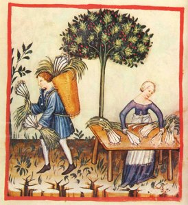 Leeks medieval