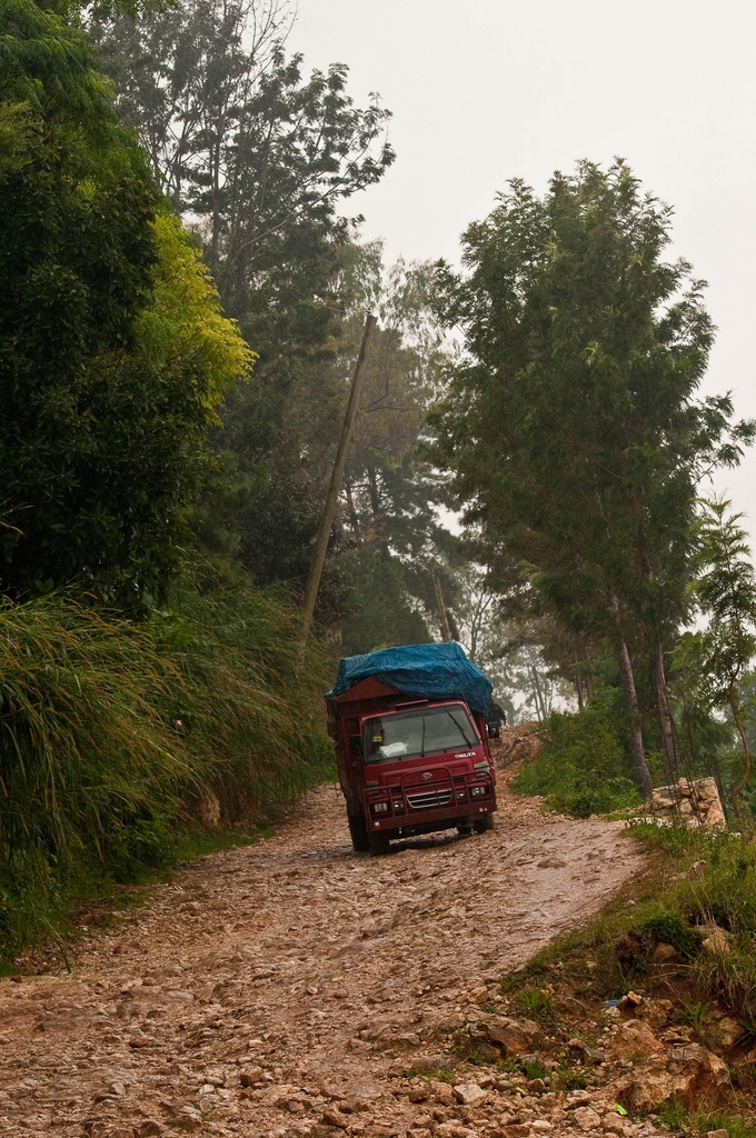 Photo credit: Michael Swan