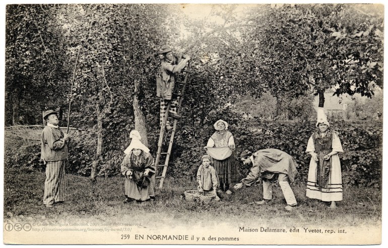 French cooks apples Norman peasants