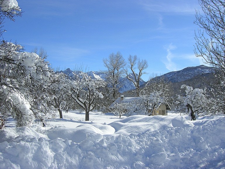 French cooks apples pommiers Normandy