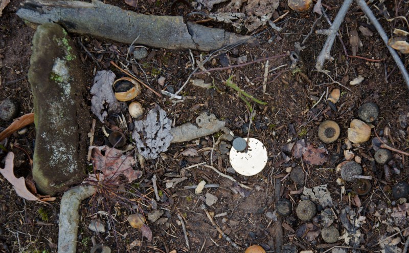 Grave 13 at Reynolds homestead