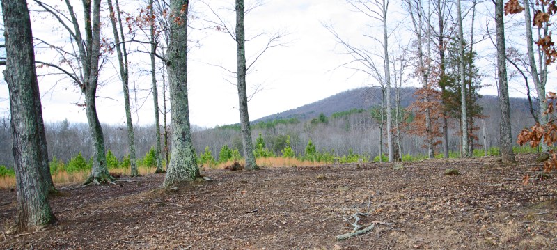 Reynolds homestead slave graveyard