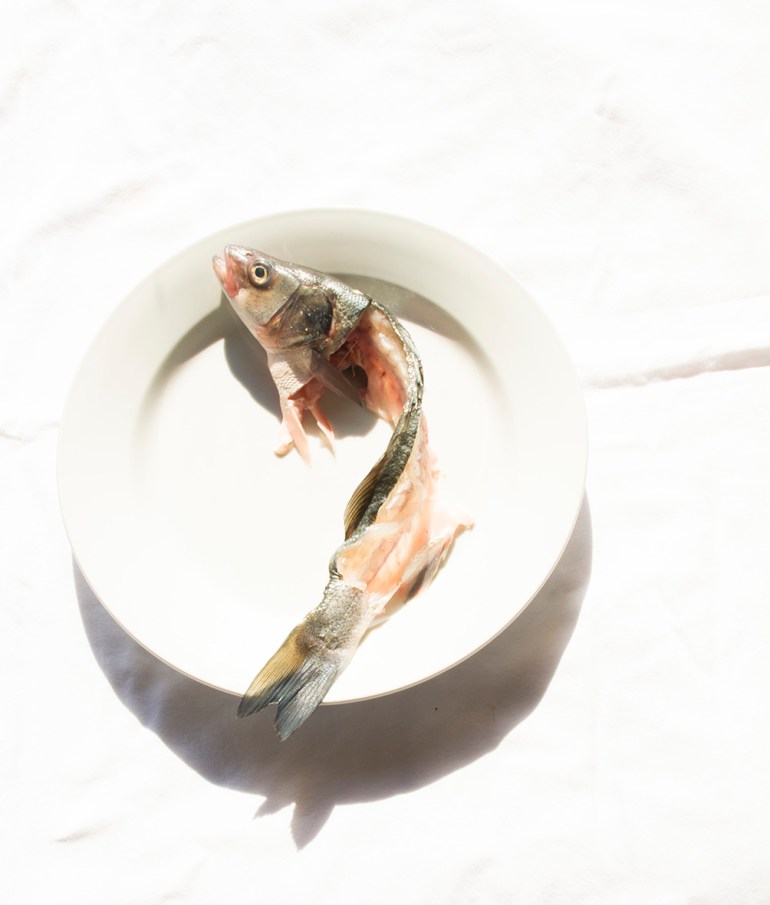 Project 2 3 Filleted fish