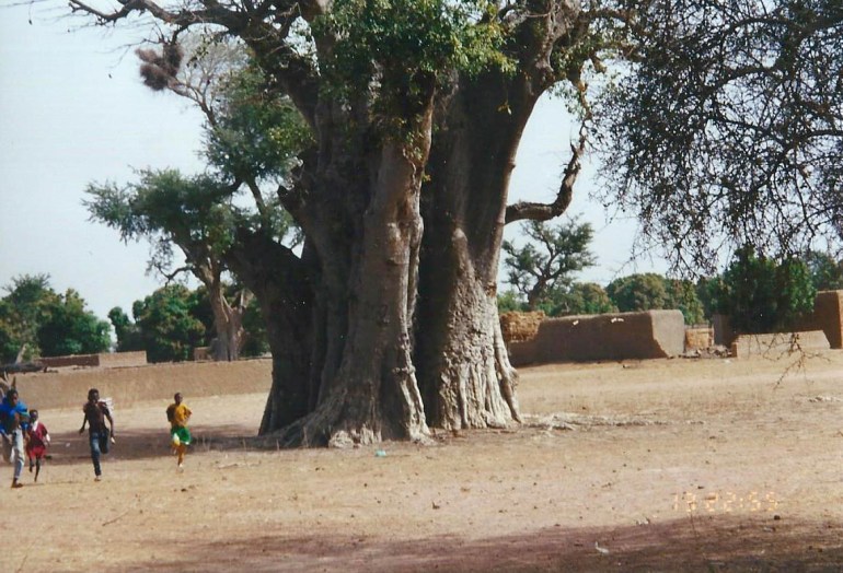 Africa village scene baobab
