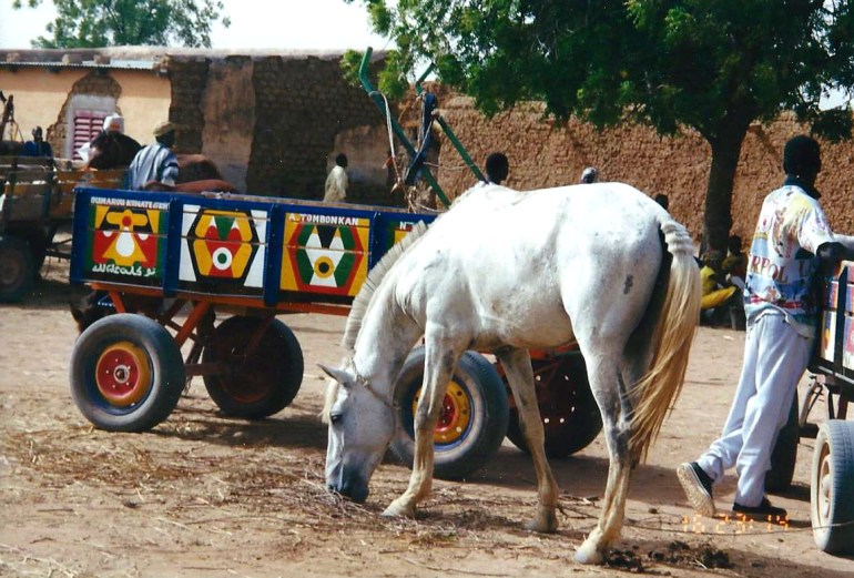 Africa village scene horse cart