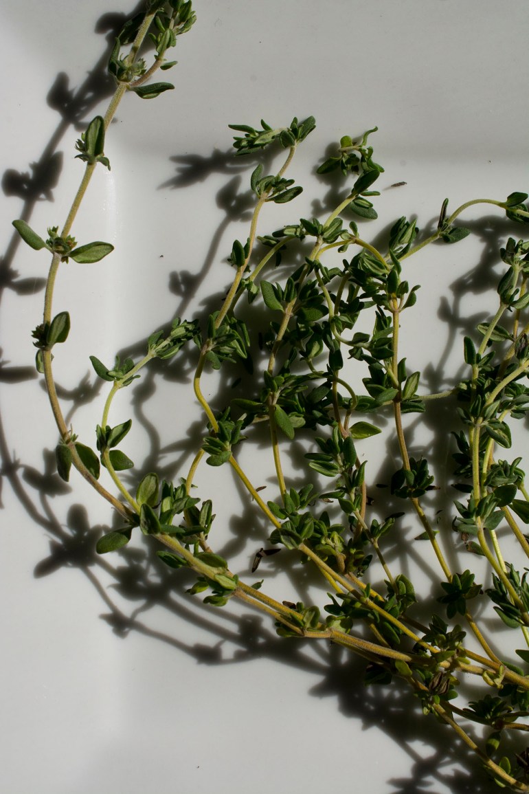 Thyme 1