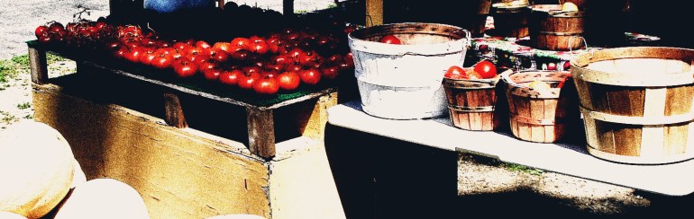 tomatoes-and-tomato-gravy-cropped-3-dark-contrasts rs 2